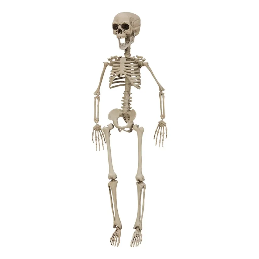 Barneskjelett Prop